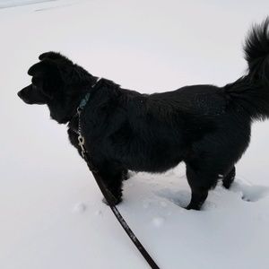 Meet your Posher, Char